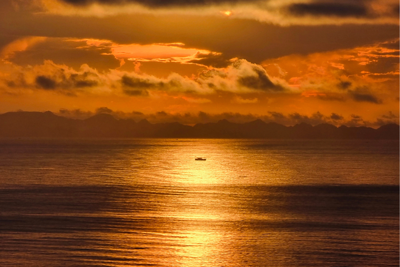 Hành trình đi tìm sự thật