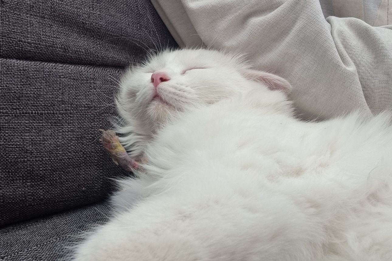 Mong muốn thay đổi bản thân