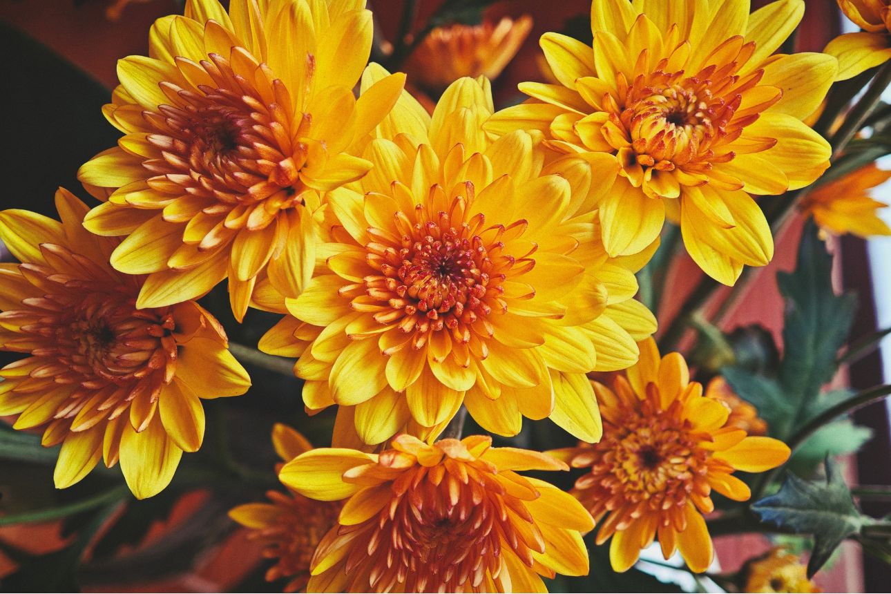 Hình ảnh bản thân