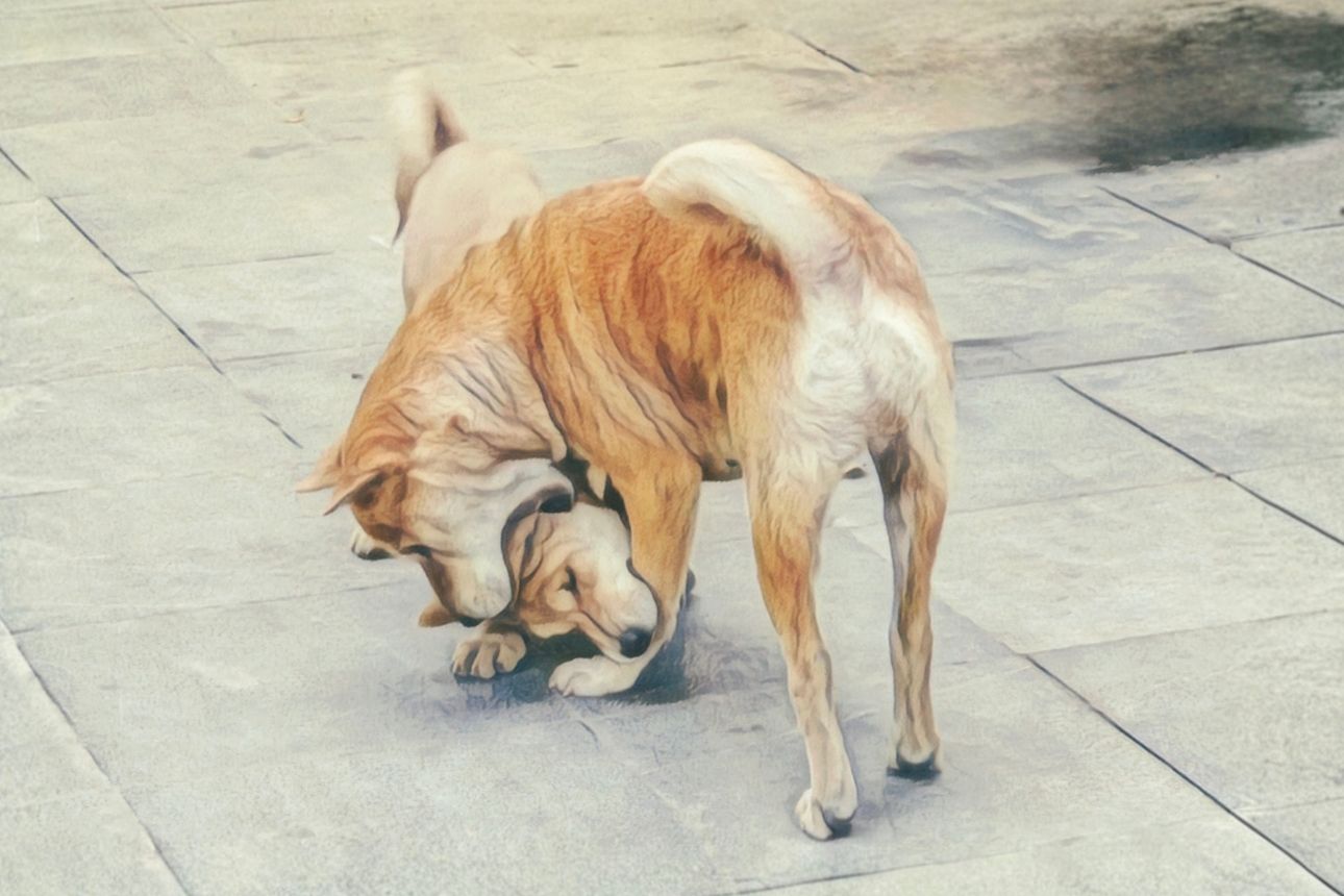 Mong muốn và mâu thuẫn trong mối quan hệ